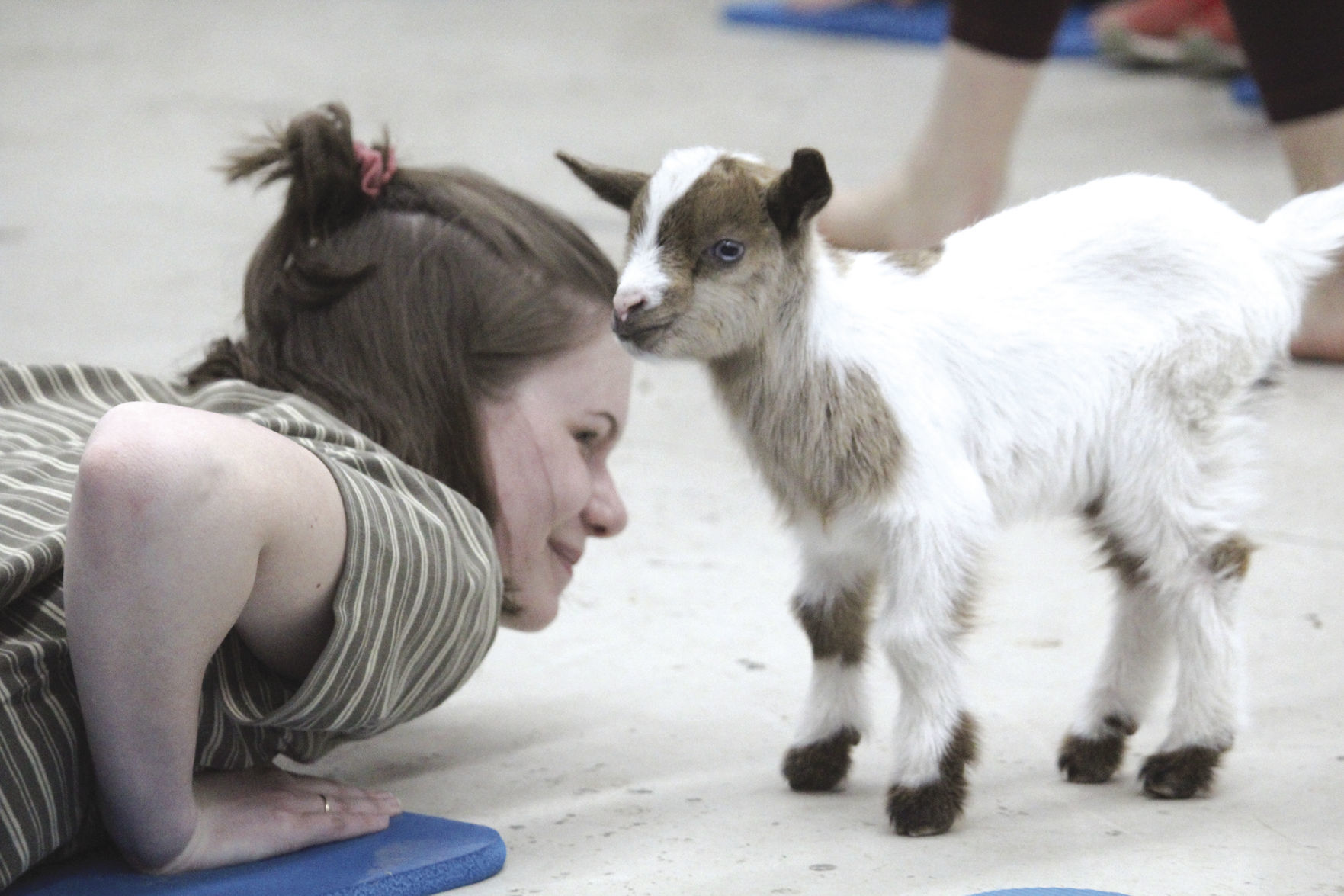 Lodi holds goat yoga session